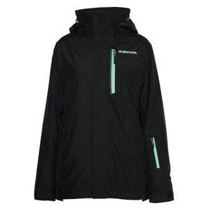 NWT Armada Kasson Gore-tex Jacket- Women's Large